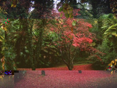 parco1.jpg