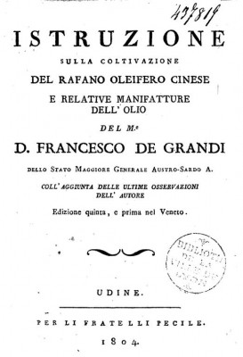 Il rafano oleifero.jpg