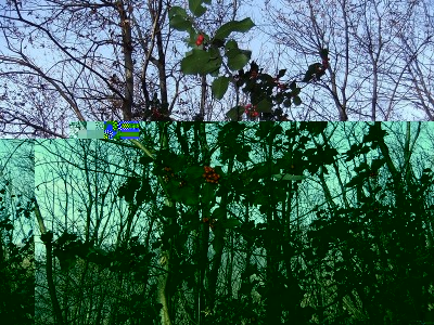 DSCF2011.JPG
