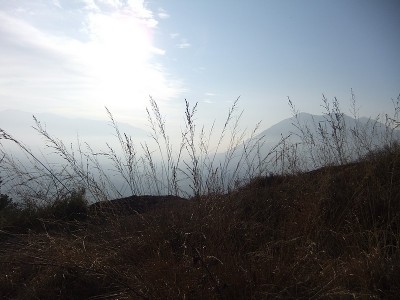 DSCF2014.JPG