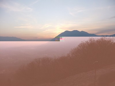 DSCF2035.JPG