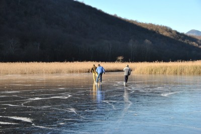 DSC_0205.JPG