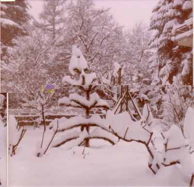 Nevicata-1985-3.jpg