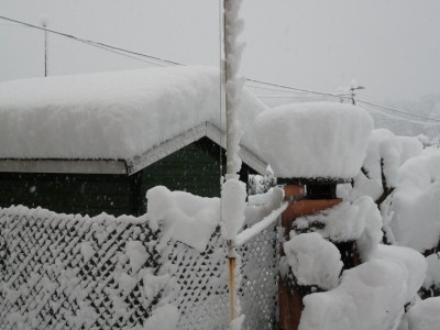 neve-4.jpg