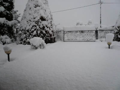neve-3.jpg