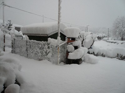 neve-2.jpg