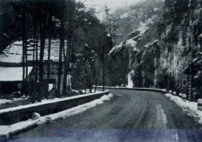 Valganna innevata.jpg