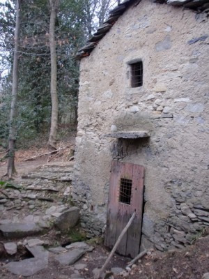 CIMG0834_ridimensionare.JPG