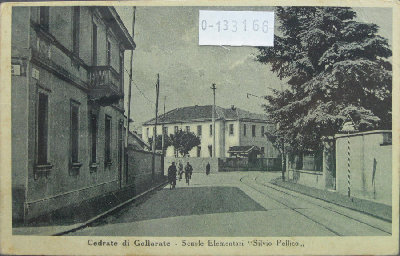 1952cedratedigallarate.JPG