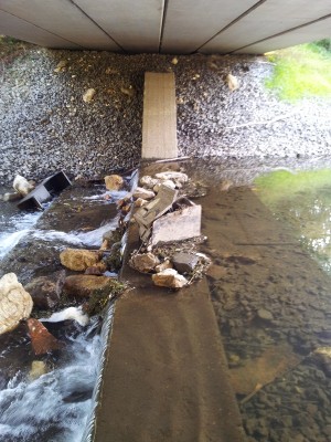 Sotto_il_ponte2.jpg