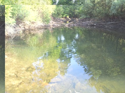canale.jpg