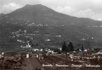 grantola-panorama1.jpg