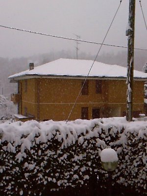Fotografie-0255.jpg