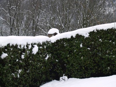 281108.d.web.jpg