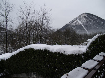 281108.a.web.jpg