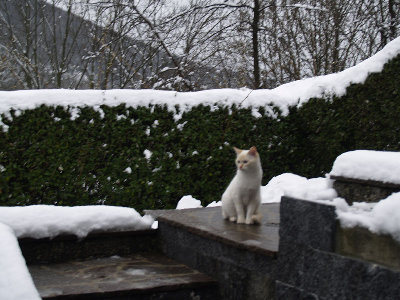 281108.e.web.jpg