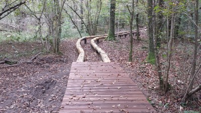 20141005_105943_resized.jpg