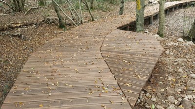 20141005_105905_resized.jpg