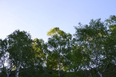 ridverso la cima della Chiusarella.JPG