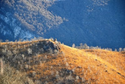 La val Castellera con i massi porfirici.