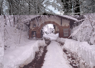 Arco-Johnson-4.jpg