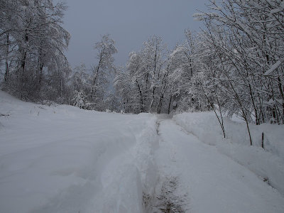 Entrata-al-Villaggio-1.jpg