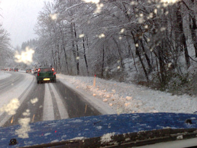 01122008179.jpg