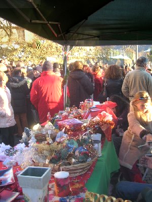 Mercatino di Natale 7.8 dic.2008.jpg (32).JPG