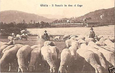 ghirlapascoloinrivaallago.JPG