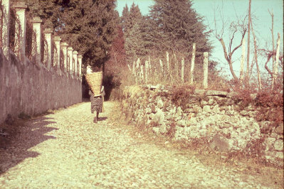 1959-viapradello.JPG