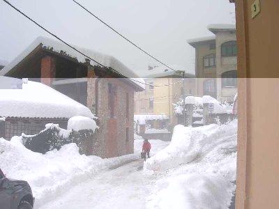 nevicata gennaio 2006 3.jpg