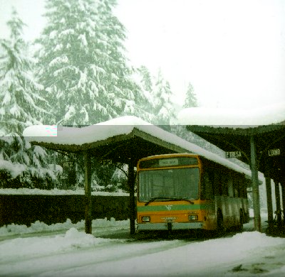 Ghirla Neve 4.jpg