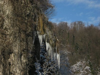 IMG_0805.JPG