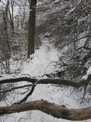 IMG_0798.JPG