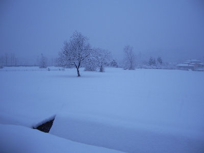 Prati-Cugliate-2.jpg