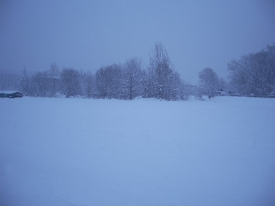 Prati-Cugliate-1.jpg