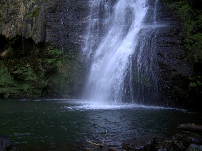 PICT8611.JPG