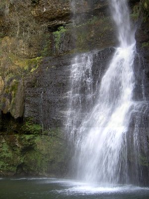 PICT8615.JPG