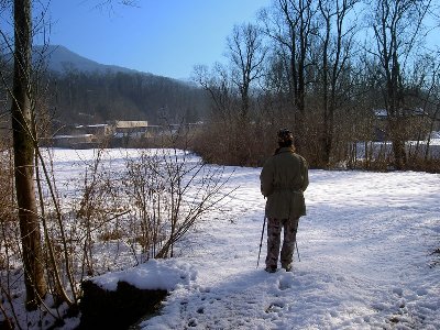 PICT8648.JPG