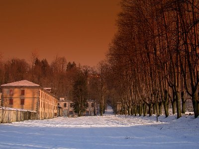 PICT8656.JPG