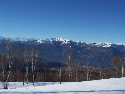 sette.3.web.jpg
