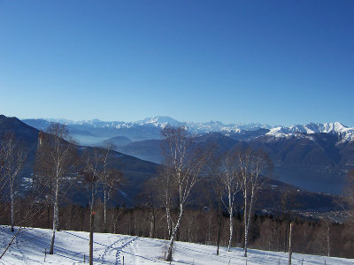 sette.2.web.jpg