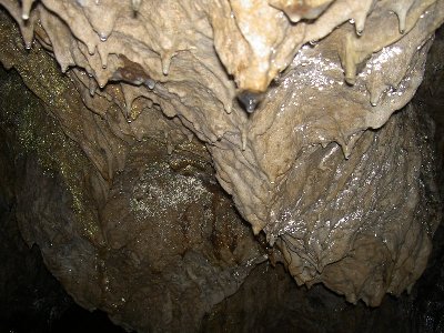 PICT8717.JPG