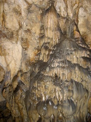 PICT8724.JPG