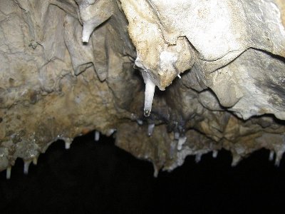 PICT8755.JPG
