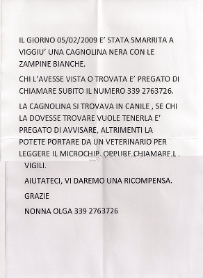 smarrita.cagnolina.jpg