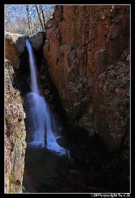 IMG_1866.jpg