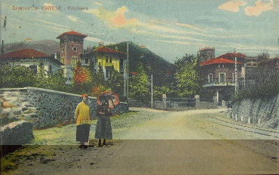 fogliaro.JPG