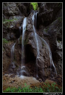 IMG_2600.jpg