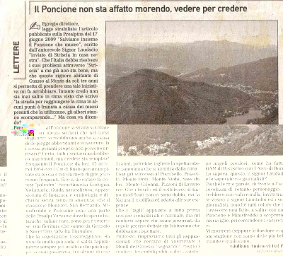 Risposta-Poncione.jpg